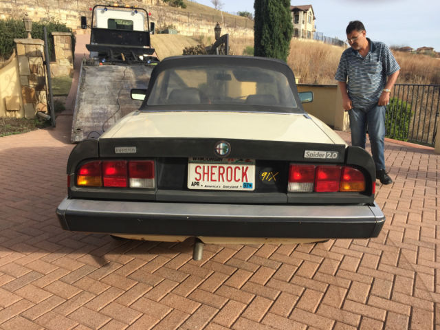 1984 Alfa Romeo Spider Spider Veloce - photo 10