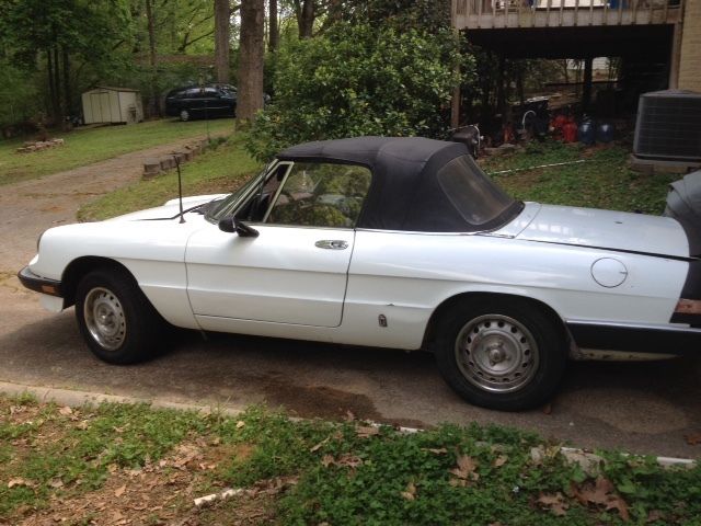1985 Alfa Romeo Spider Graduate - photo 4