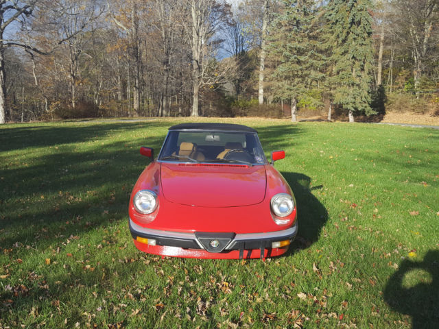 1987 Alfa Romeo Spider - photo 2