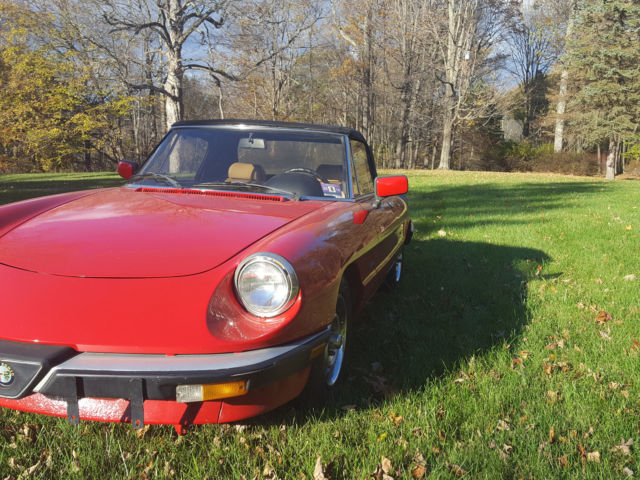 1987 Alfa Romeo Spider - photo 3