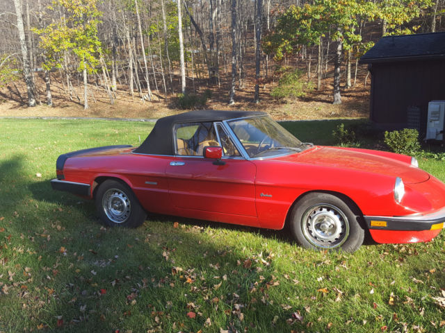 1987 Alfa Romeo Spider - photo 4