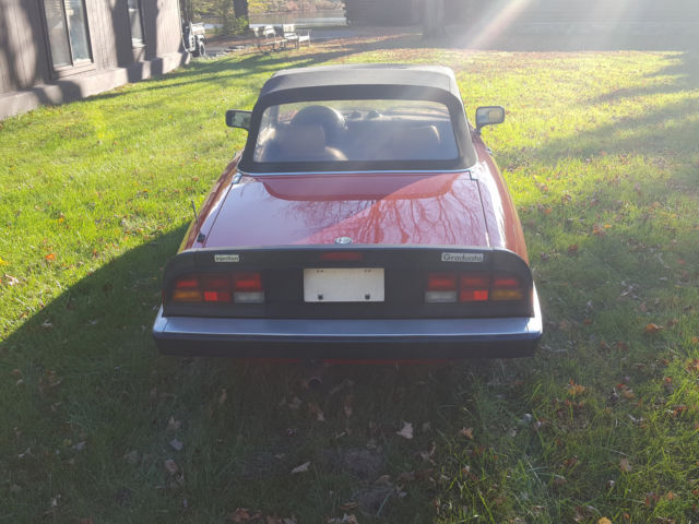 1987 Alfa Romeo Spider - photo 6
