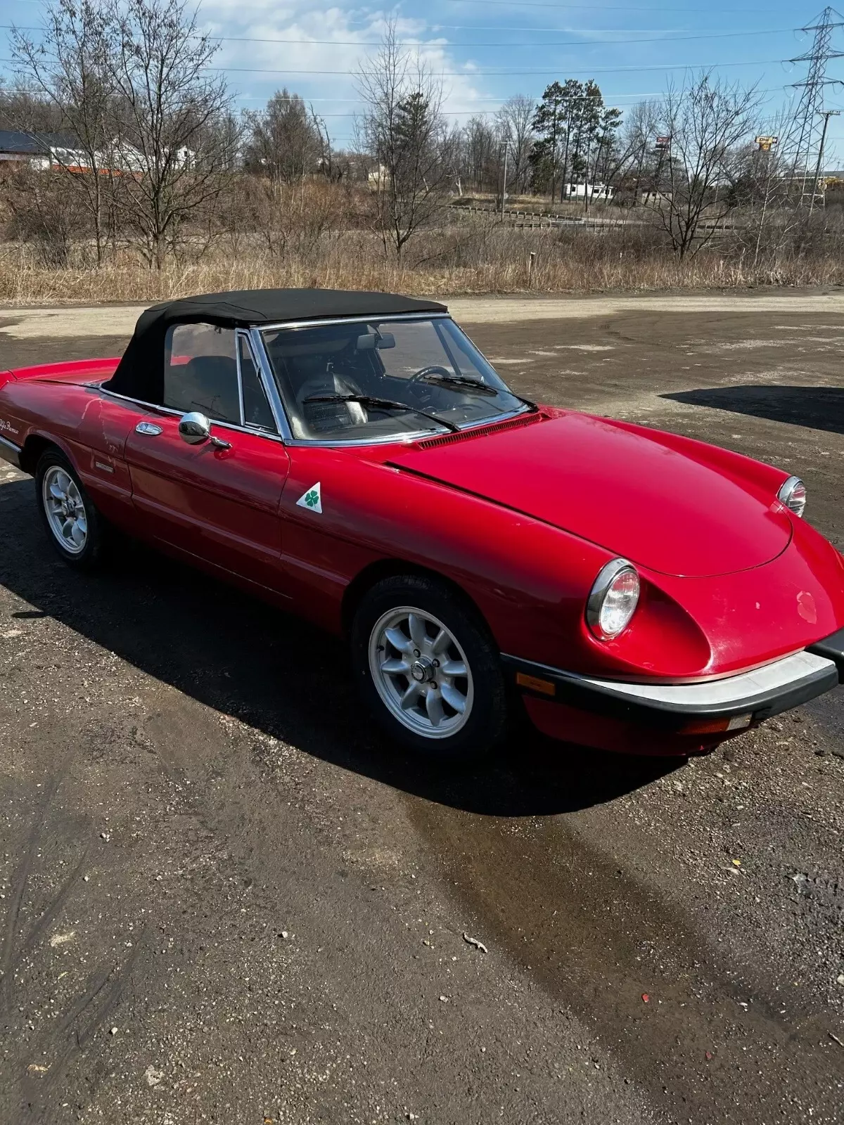 1986 Alfa Romeo Spider 2000 SPIDER - photo 5