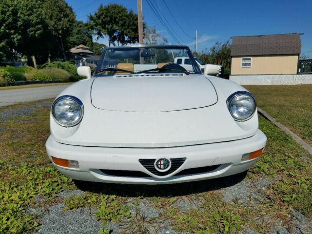 1991 Alfa Romeo Spider Veloce - photo 5