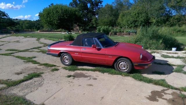 1986 Alfa Romeo Spider