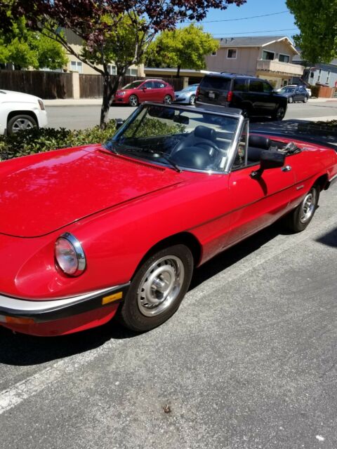 1986 Alfa Romeo Spider - photo 9
