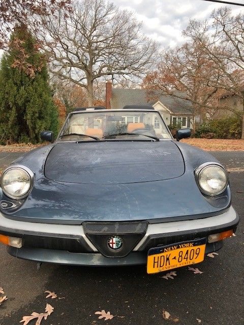 ALFA ROMEO GRADUATE SPIDER - 1987 1987 Alfa Romeo Spider