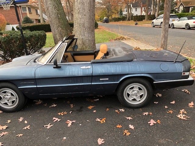 1987 Alfa Romeo Spider - photo 7