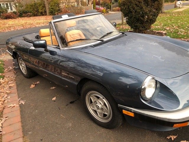 1987 Alfa Romeo Spider - photo 9