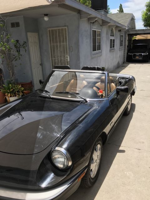 1989 Alfa Romeo Spider - photo 10