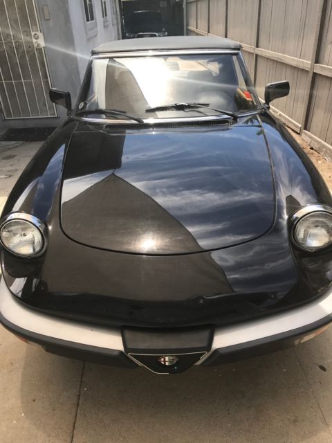 1989 Alfa Romeo Spider - photo 2