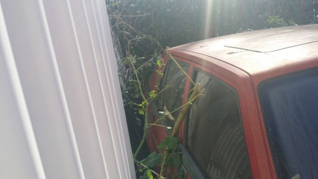 1988 Alfa Romeo Spider - photo 11