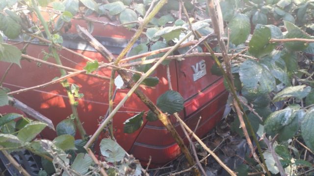1988 Alfa Romeo Spider - photo 12