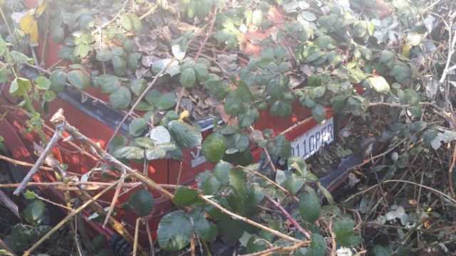 1988 Alfa Romeo Spider - photo 13