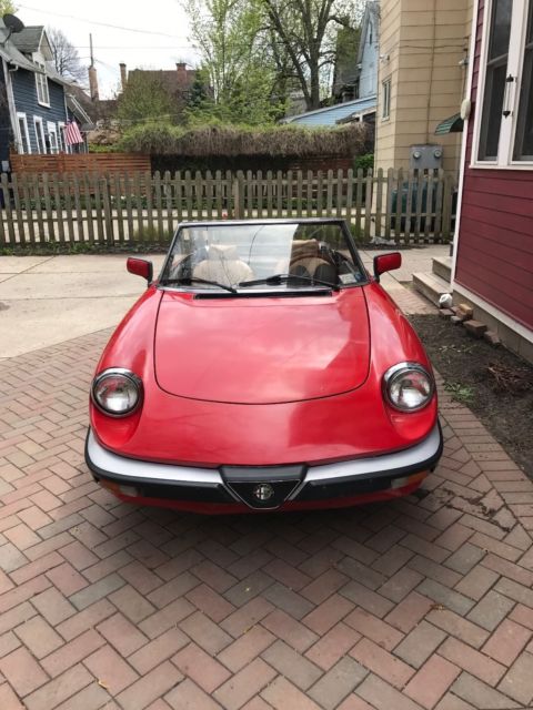 1985 Alfa Romeo Spider - photo 3