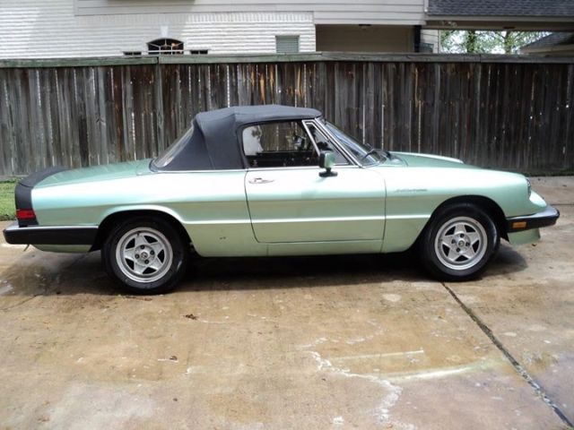 1984 Alfa Romeo Spider Veloce