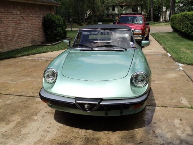 1984 Alfa Romeo Spider Veloce - photo 2