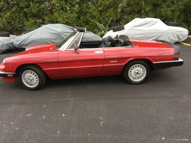 1987 Alfa Romeo Spider - photo 10