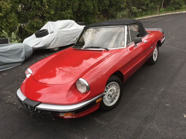 1987 Alfa Romeo Spider - photo 2