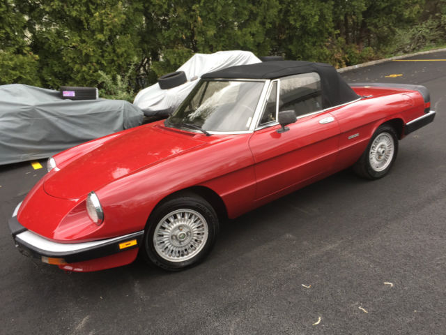 1987 Alfa Romeo Spider - photo 4