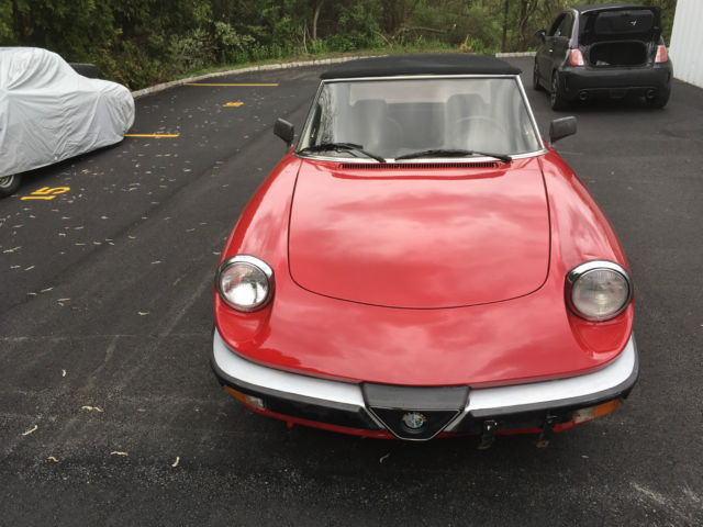 1987 Alfa Romeo Spider - photo 5