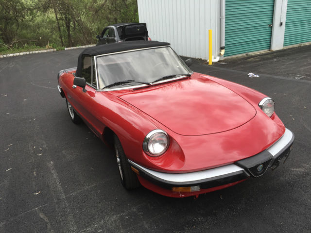 1987 Alfa Romeo Spider - photo 6
