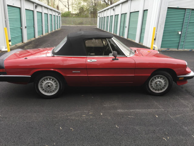 1987 Alfa Romeo Spider - photo 7