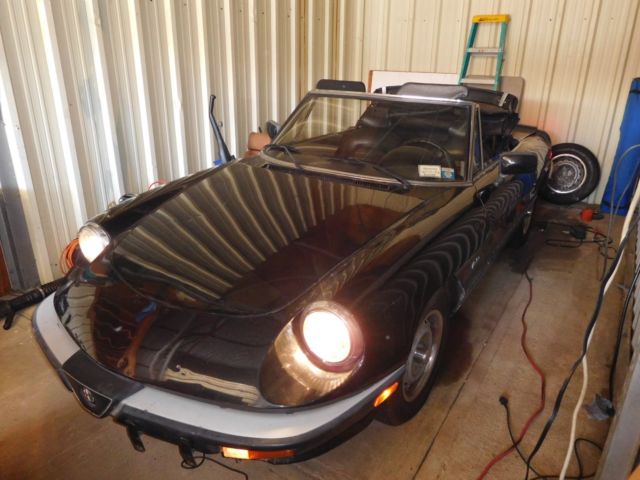 1987 Alfa Romeo Spider - photo 3