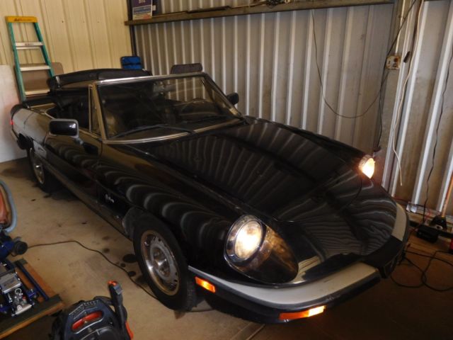1987 Alfa Romeo Spider - photo 4