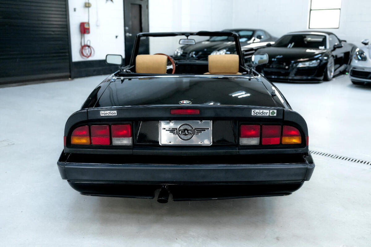 1987 Alfa Romeo Spider Quadfrigolio - photo 7