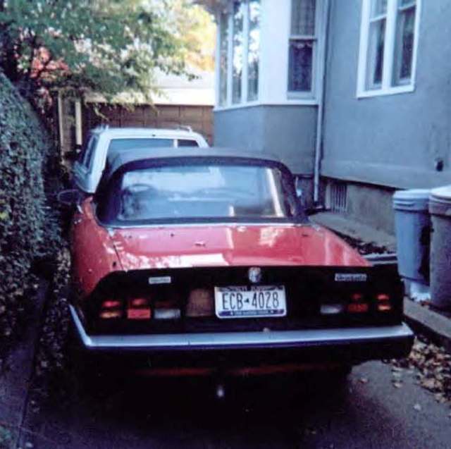 1985 Alfa Romeo Spider - photo 3