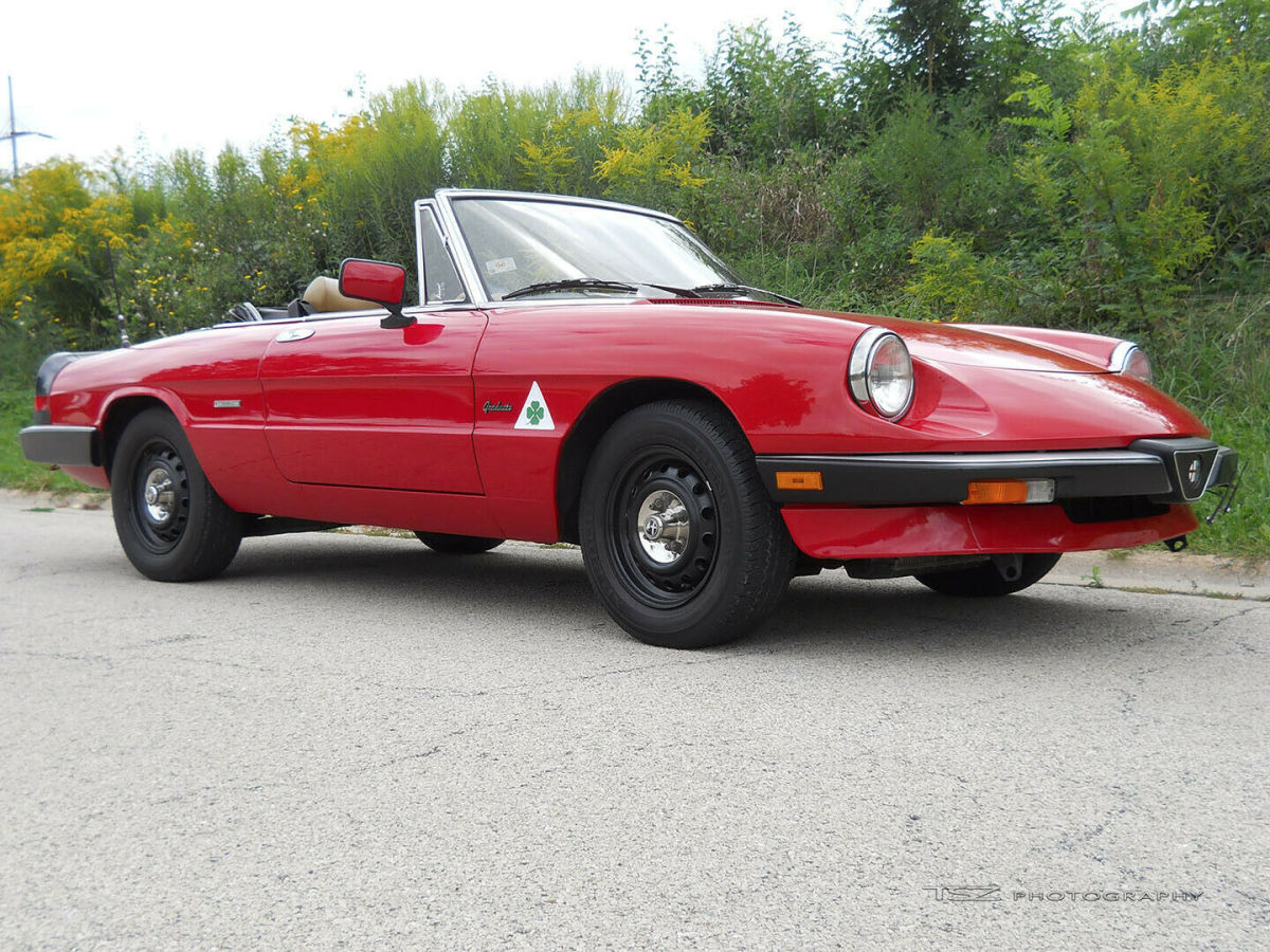 1990 Alfa Romeo Spider Graduate - photo 10