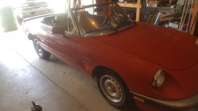 1987 Alfa Romeo Spider Graduate - photo 4