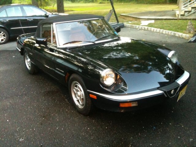 1988 Alfa Romeo Spider
