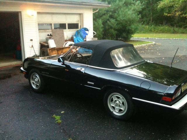 1988 Alfa Romeo Spider - photo 3