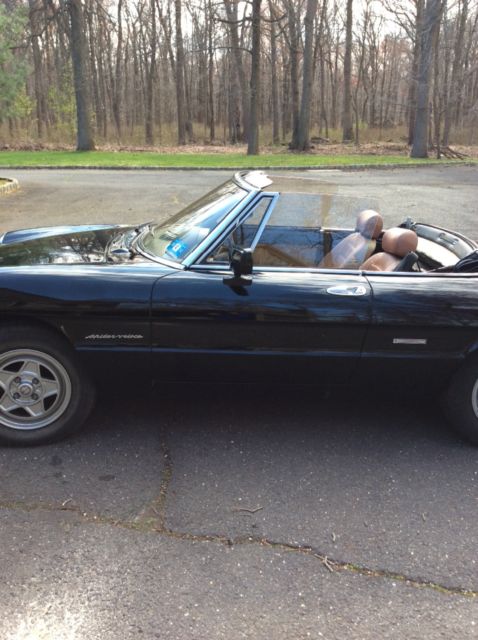 1988 Alfa Romeo Spider - photo 12