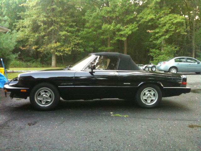 1988 Alfa Romeo Spider Veloce - photo 2