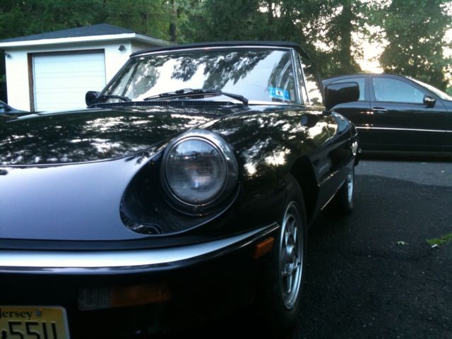 1988 Alfa Romeo Spider Veloce - photo 3