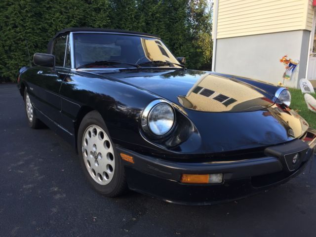 1987 Alfa Romeo Spider Quadrifoglio - photo 2