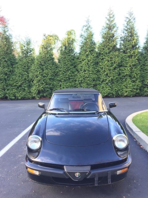 1987 Alfa Romeo Spider Quadrifoglio - photo 3