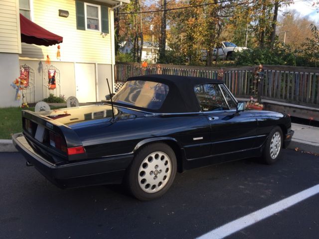 1987 Alfa Romeo Spider Quadrifoglio - photo 6