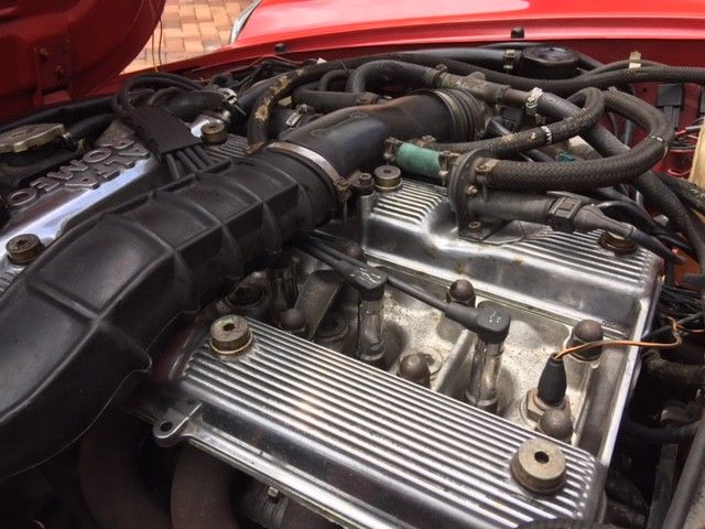 1988 Alfa Romeo Spider QUADROFOGLIO - photo 13