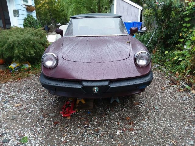 1988 Alfa Romeo Spider Veloce - photo 2
