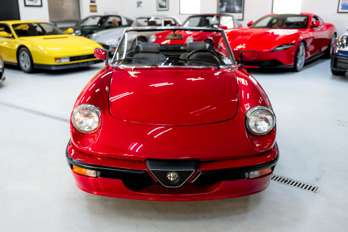 1989 Alfa Romeo Spider Quadfrigolio - photo 3
