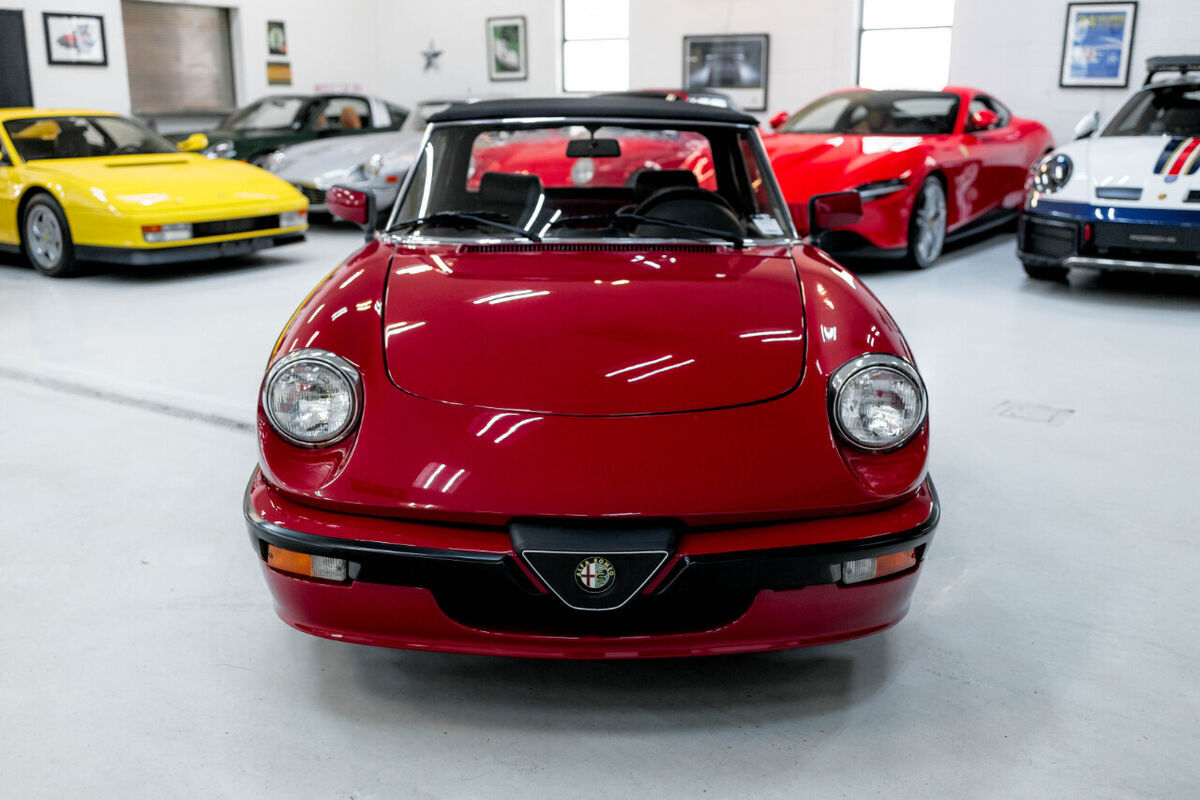 1989 Alfa Romeo Spider Quadfrigolio - photo 8