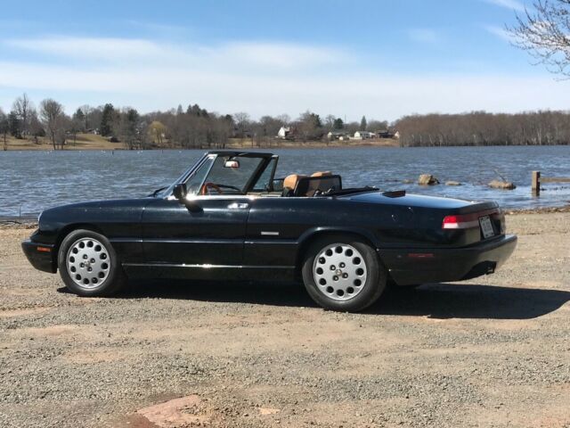 1991 Alfa Romeo Spider - photo 4