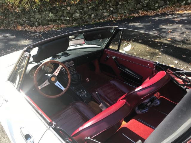 1980 Alfa Romeo Spider Veloce - photo 5