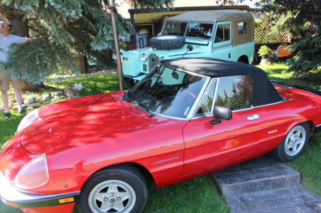 1986 Alfa Romeo Spider - photo 4