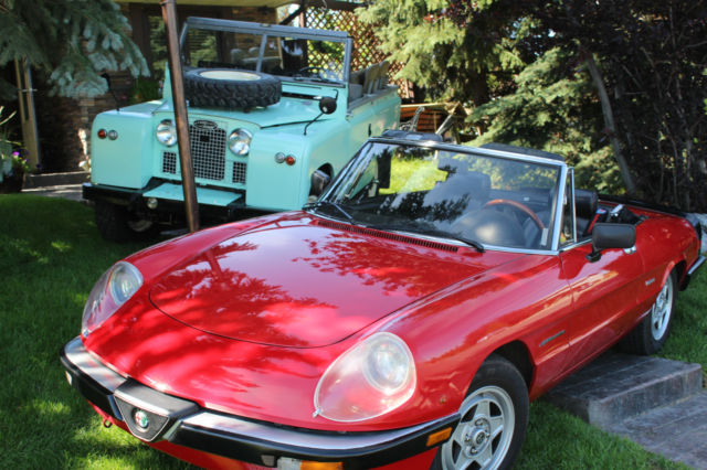 1986 Alfa Romeo Spider - photo 8