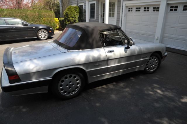 1986 Alfa Romeo Spider Veloce/Quadrifoglio Edition - photo 3